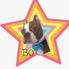 lildoggiebigworld