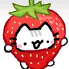 username00042611
