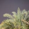 __6ks1