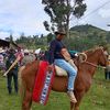 alfred_l592