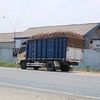 sibiru2005