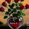 samy00489