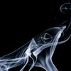 youssefessam393
