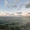 arwa_0740