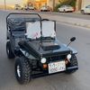 m1_esh