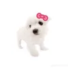 _ehehe.212