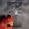 alk_872