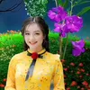 Hoa xuân. hà nội.