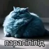 chleeeeeeeen1