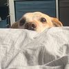 maddylp