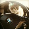 rezaa_1224