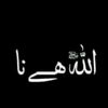 nadeemali3941567