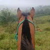 mmafzd