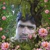sahib.khan95