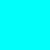 straberry_shortca7
