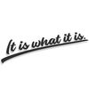 itiswhatitis_12