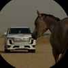 m7dl7d7