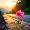 varsha3619