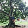 ___sharviofficial