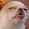 peewuyu