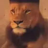 voxicat_off