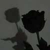 qat_toite12