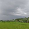 dian_0356