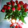 user582388229942