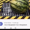 baffa_720