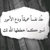 mizrdibw865