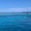 delfinacanz4ni_