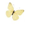mdshihab.islam8