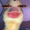 mnyslfyh