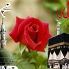 mdsobuz6825073
