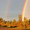 markotigmimi