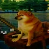 doge_doge_doge_dog