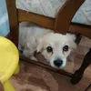 bebroed_ddnet