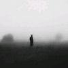 tarek_ouldaroussi
