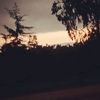 neguyemerymlij1