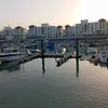 fatima.zahra807