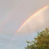 tuti_273