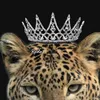 𝓡 🐆🤎
