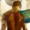 djawed.mido