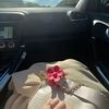 zeinbou.hanane