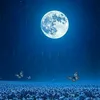 .inthefantasy