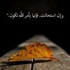 warda_benamara