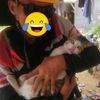 posa.lappunk