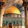 shahd.ebrahim53