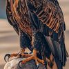 rup_shyam54