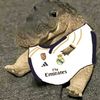 the_danielwaza